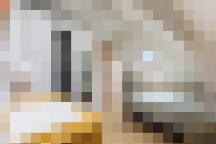 3e Schansstraat 21 Rotterdam thumbnail 24
