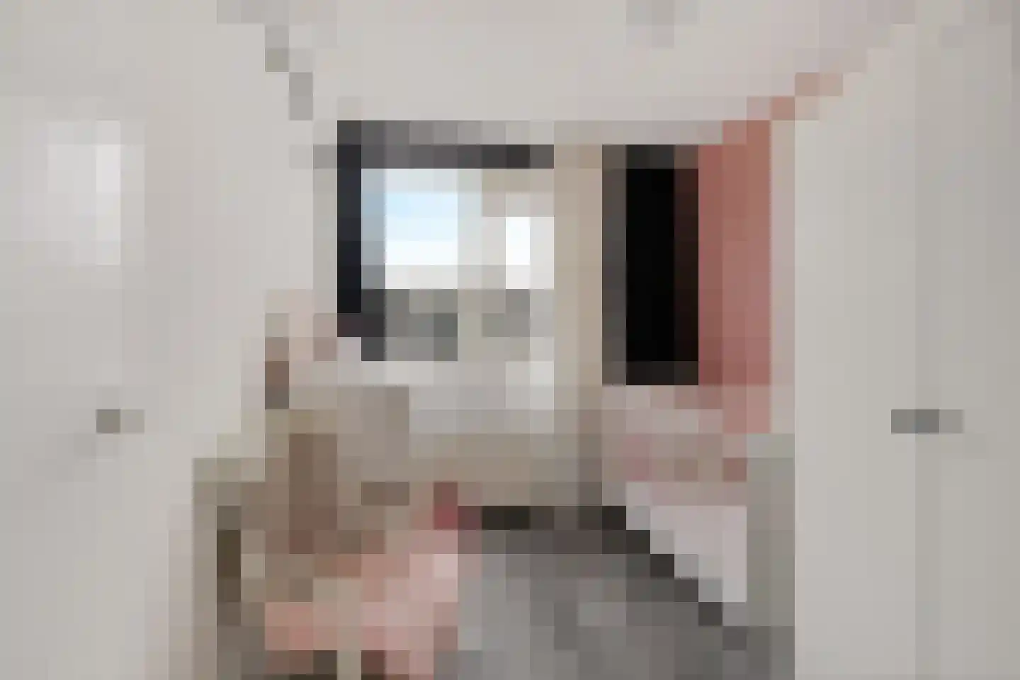 3e Woudstraat 34 Sneek thumbnail 19