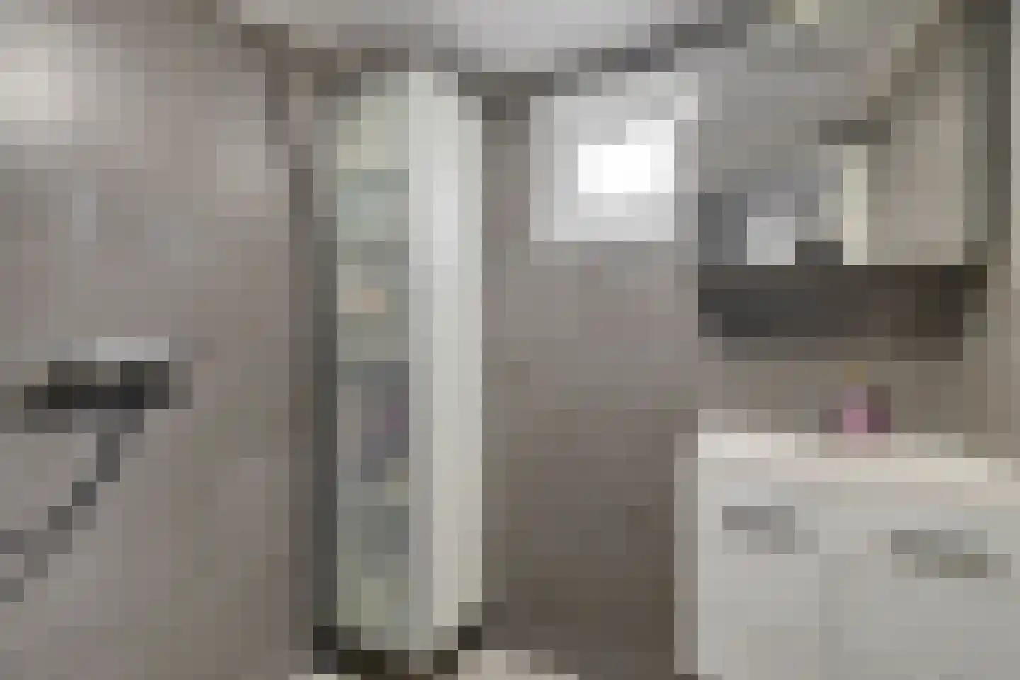3e Woudstraat 34 Sneek thumbnail 21