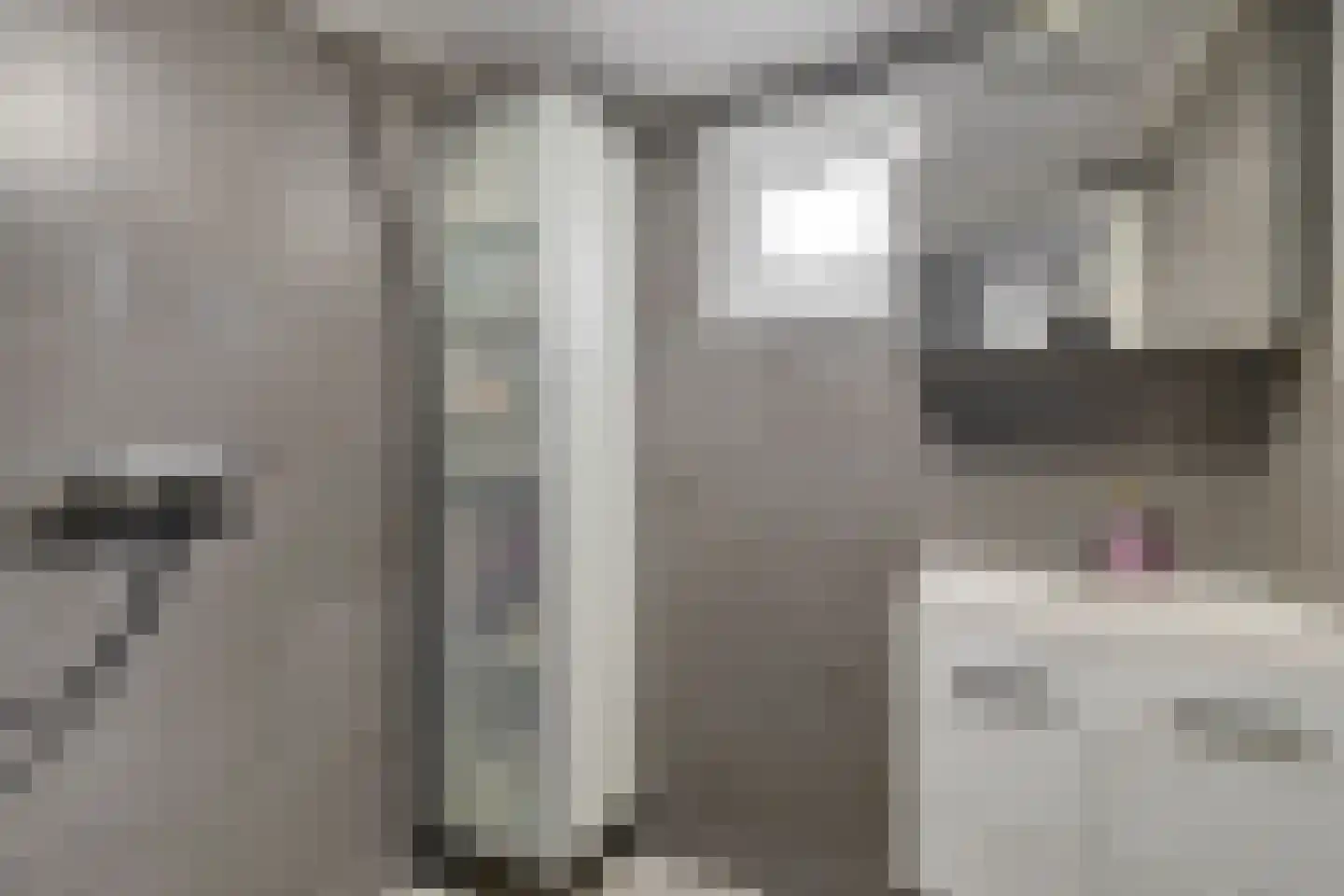 3e Woudstraat 34 Sneek thumbnail 21