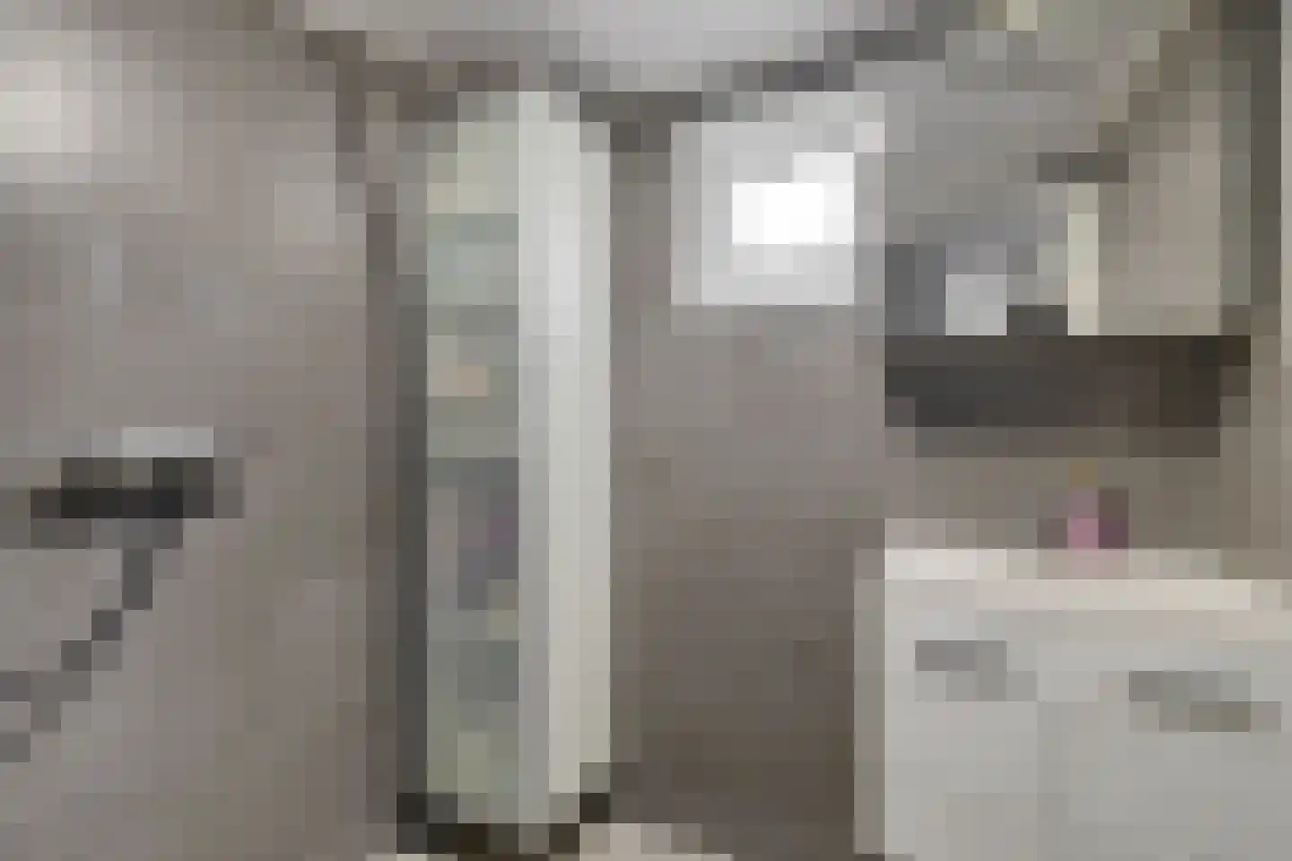 3e Woudstraat 34 Sneek thumbnail 4