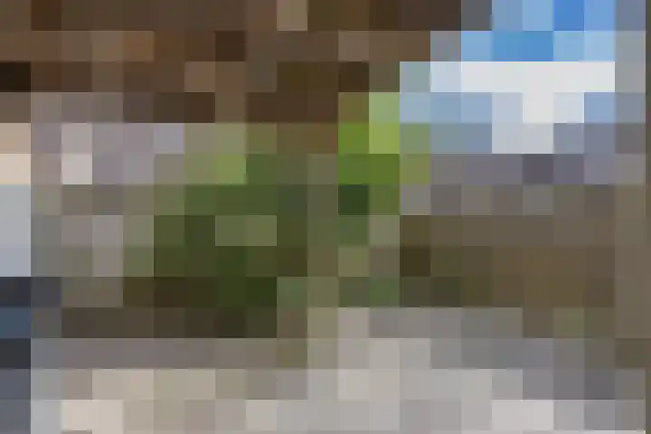 3e Woudstraat 42 Sneek thumbnail 22