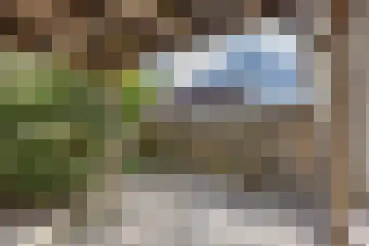 3e Woudstraat 42 Sneek thumbnail 23