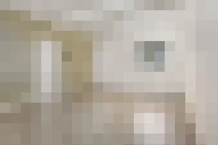 3e Woudstraat 6 Sneek thumbnail 10