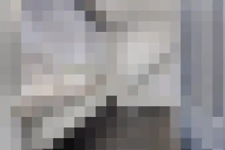 3e Woudstraat 6 Sneek thumbnail 14