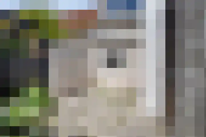 3e Woudstraat 6 Sneek thumbnail 18