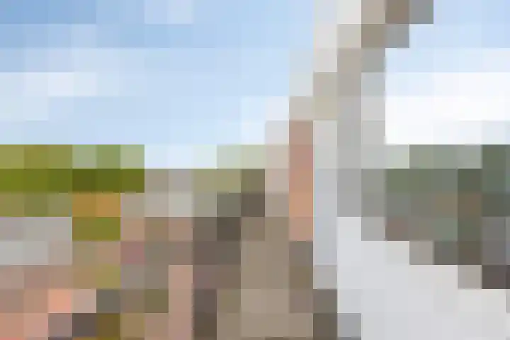 42e laan 2 Wildervank thumbnail 26