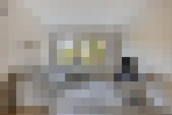 44 R I-straat 29 Ochten thumbnail 5