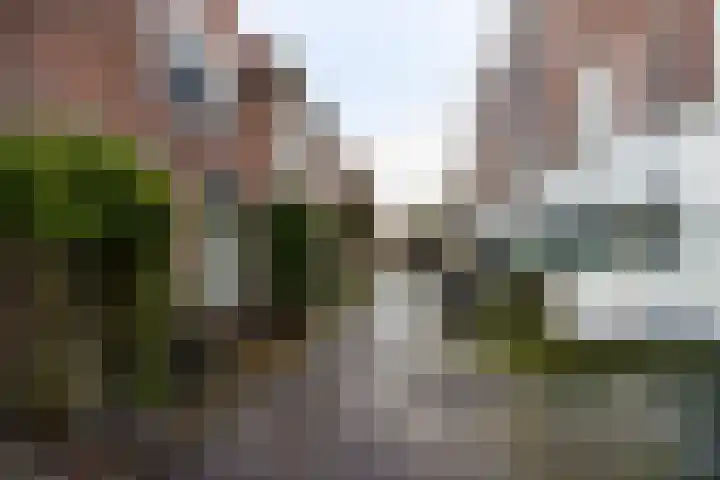 4e Binnenvestgracht 37 A Leiden thumbnail 16