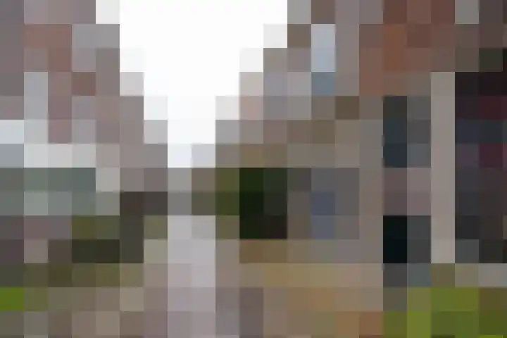 4e Binnenvestgracht 37 Leiden thumbnail 16