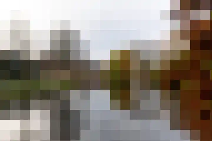 4e Binnenvestgracht 37 Leiden thumbnail 18