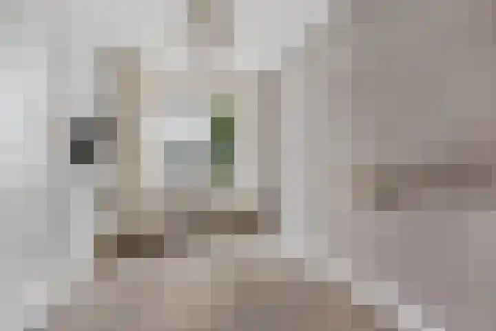 4e Binnenvestgracht 37 Leiden thumbnail 4