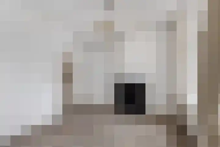 4e Binnenvestgracht 37 Leiden thumbnail 9
