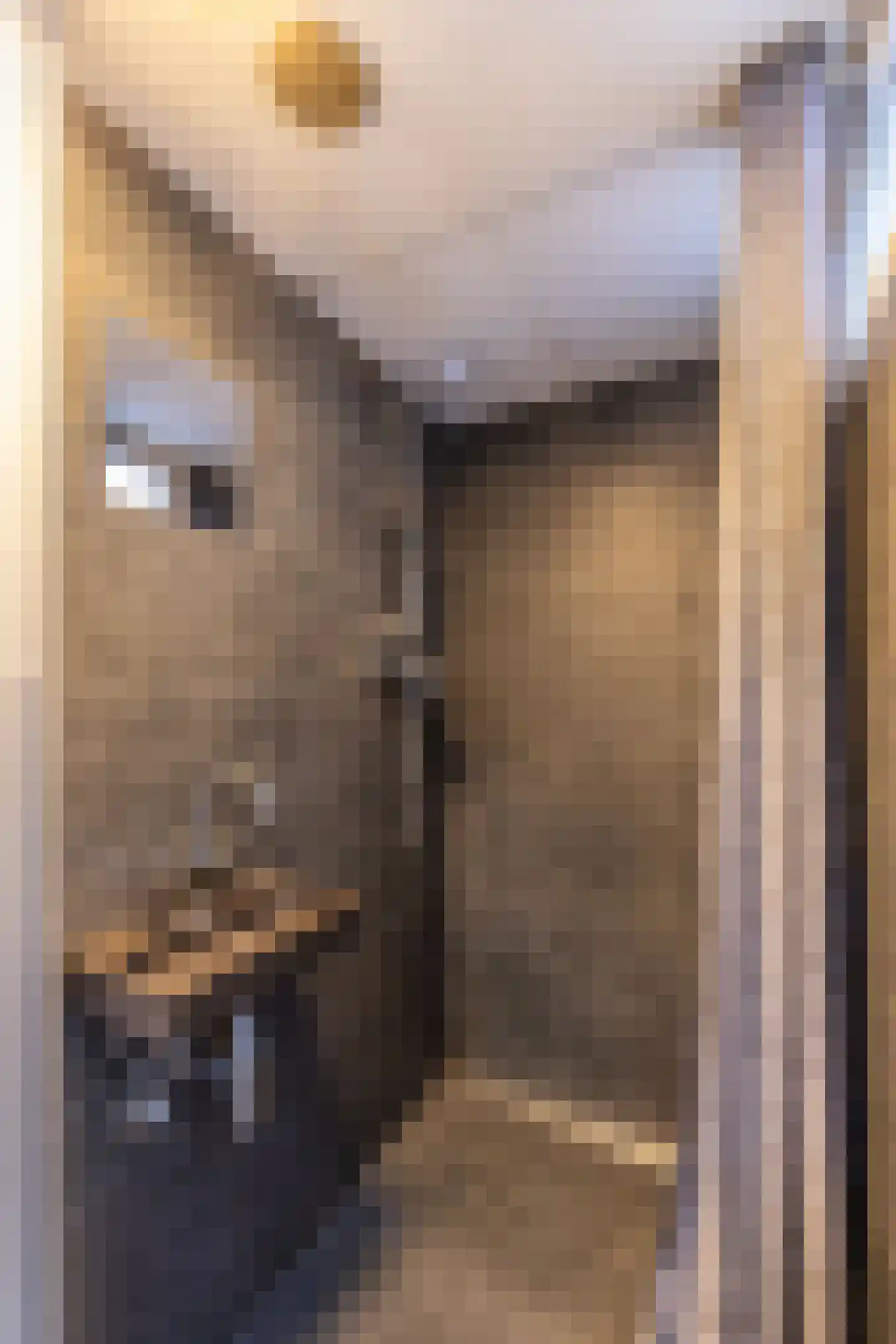 4e Binnenvestgracht 42 Leiden thumbnail 17