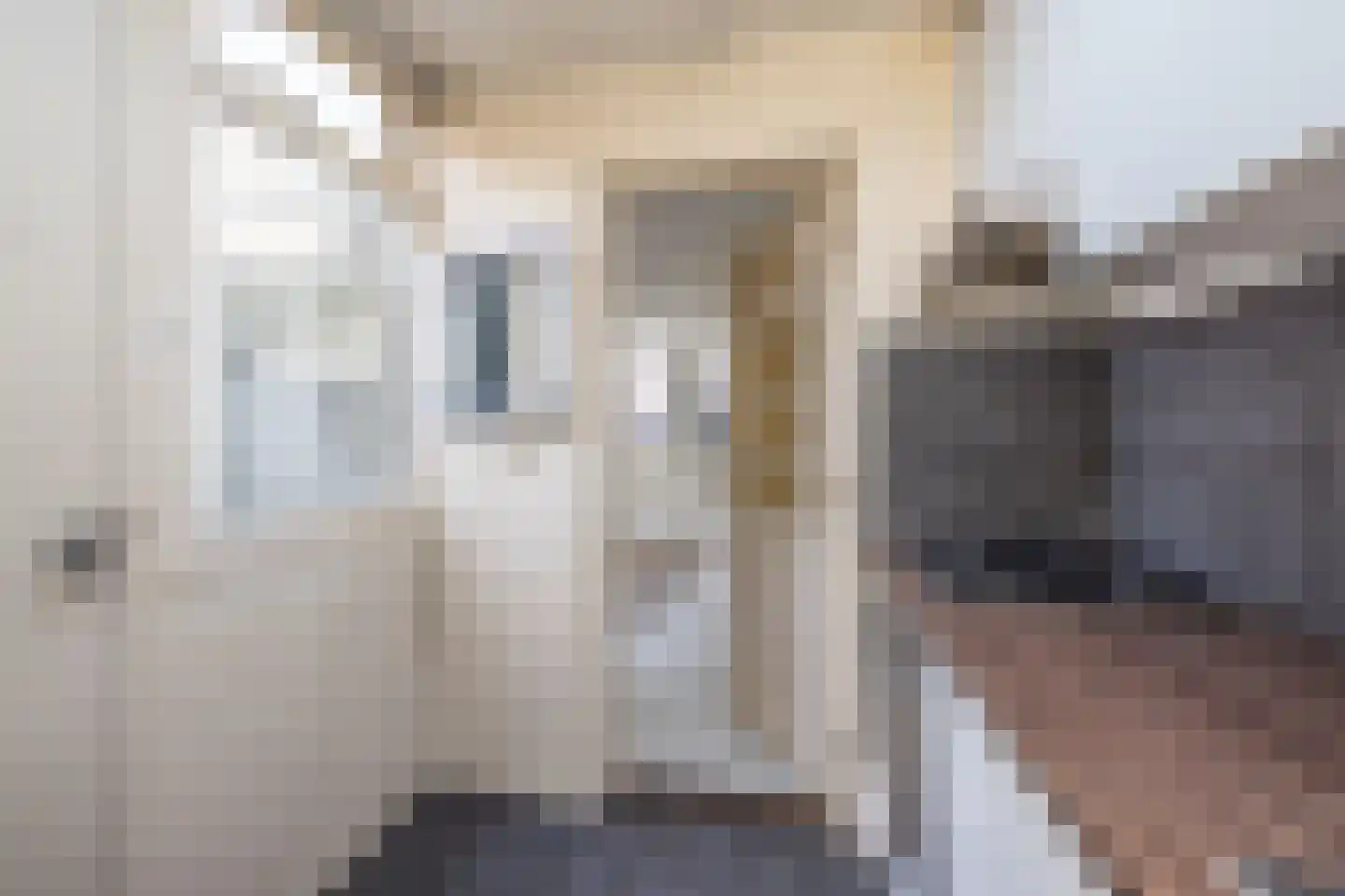 4e Binnenvestgracht 42 Leiden thumbnail 18