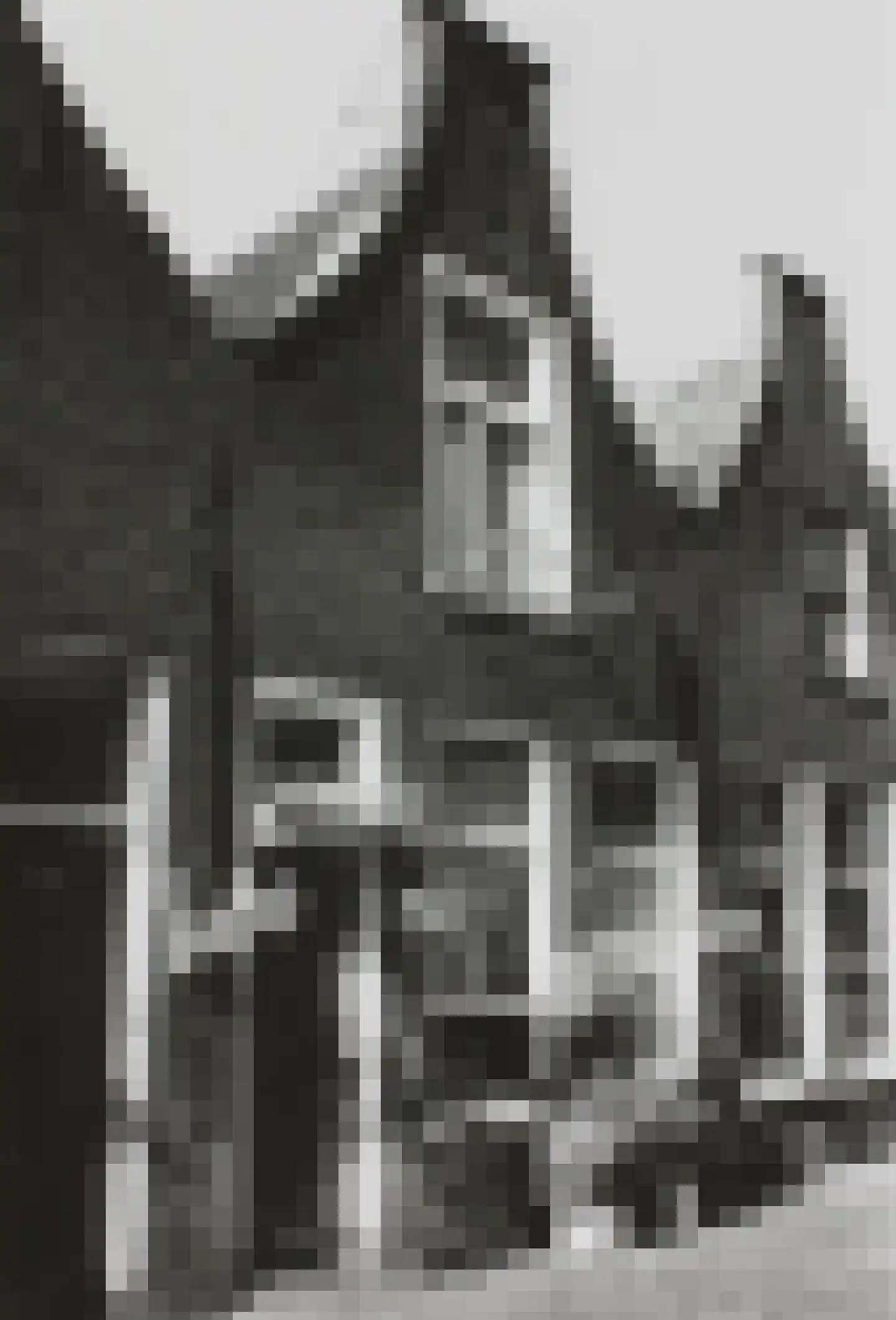 4e Binnenvestgracht 42 Leiden thumbnail 59