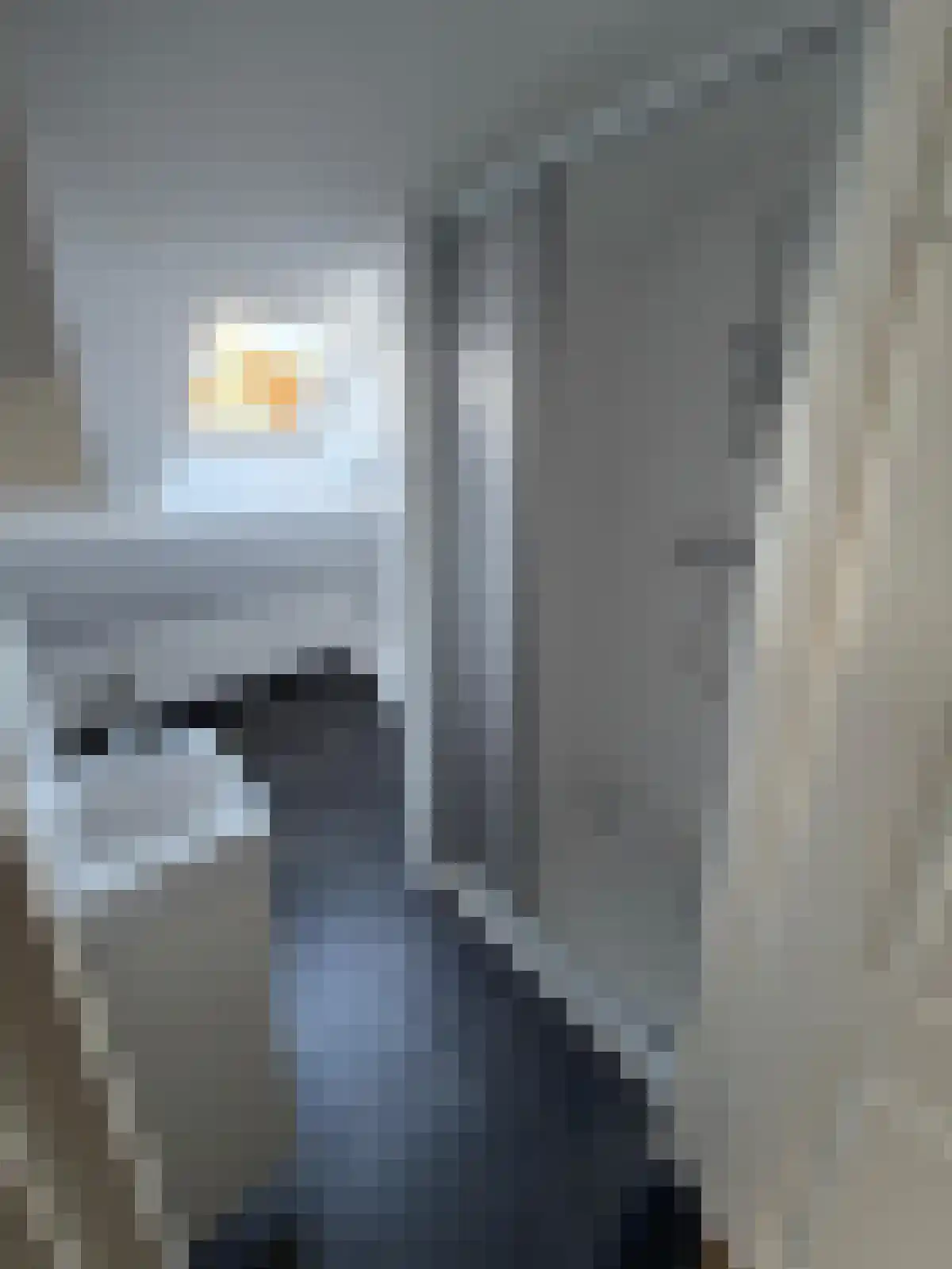 4e Binnenvestgracht Leiden thumbnail 4