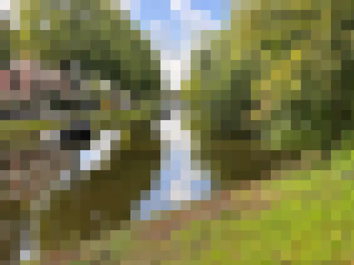 4e Binnenvestgracht Leiden thumbnail 6