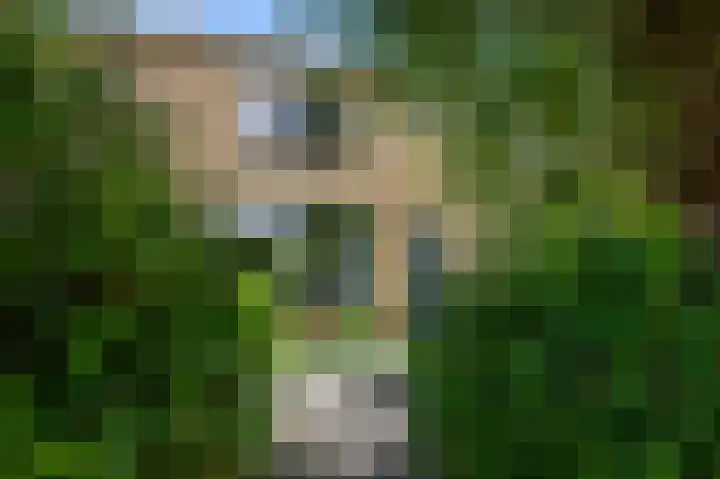 4e Heidestraat 8 Assendelft