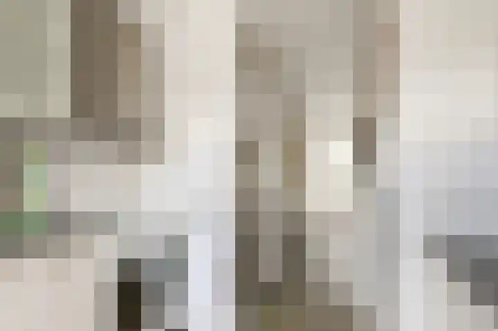 4e Heidestraat 8 Assendelft thumbnail 14