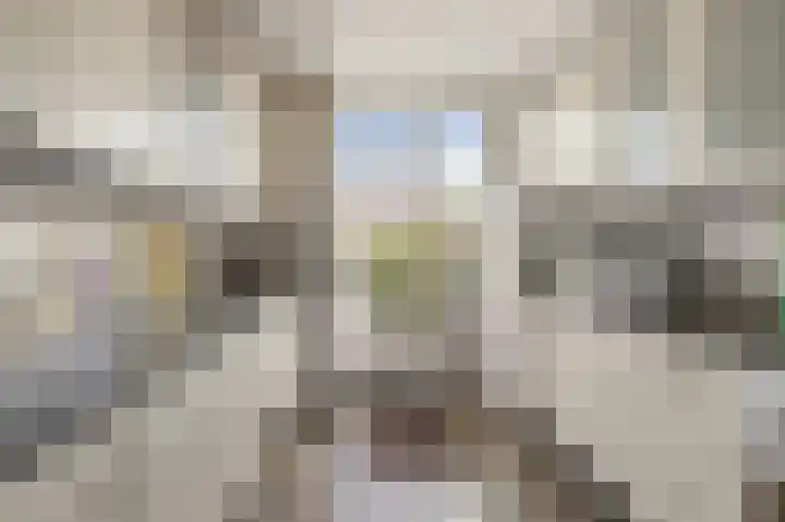 4e Heidestraat 8 Assendelft thumbnail 18