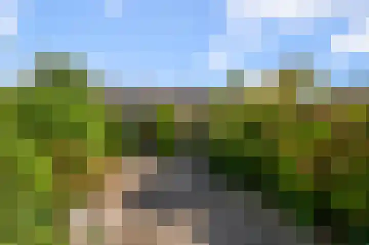 4e Heidestraat 8 Assendelft thumbnail 20