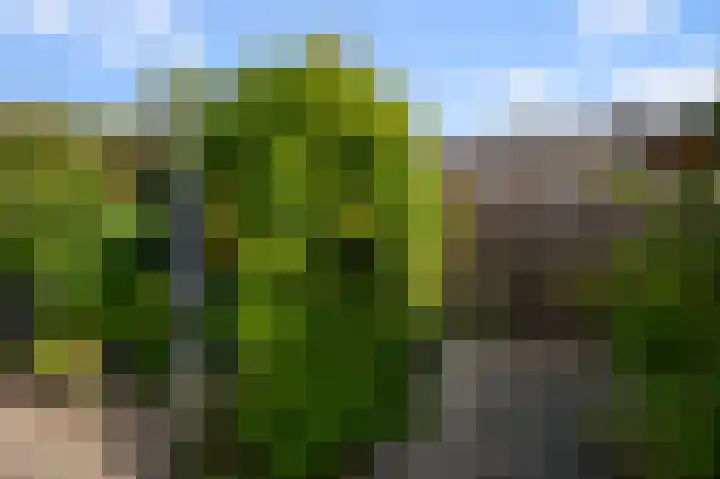 4e Heidestraat 8 Assendelft thumbnail 21