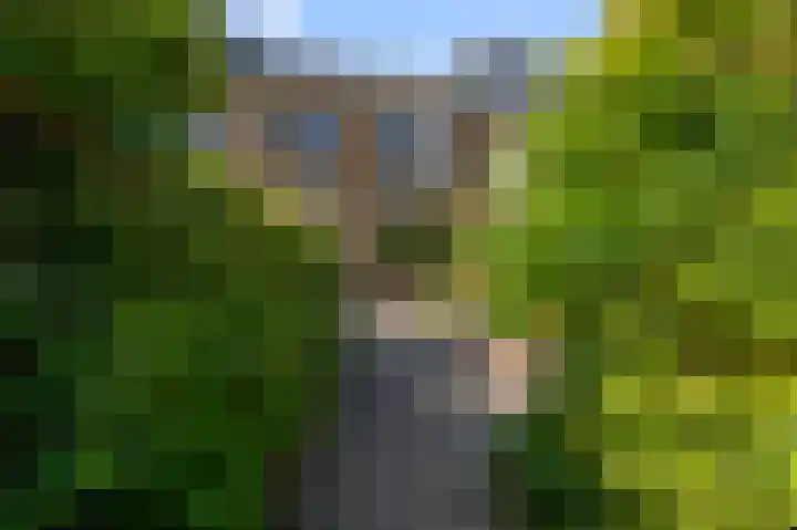 4e Heidestraat 8 Assendelft thumbnail 22