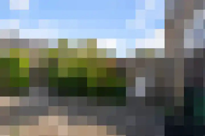 4e Heidestraat 8 Assendelft thumbnail 23