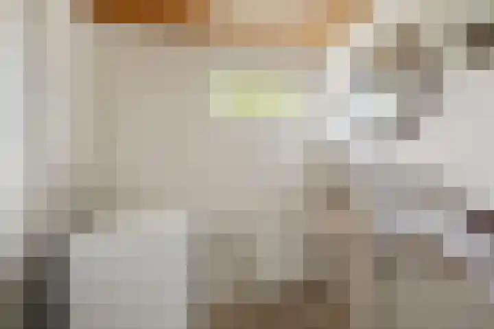 4e Heidestraat 8 Assendelft thumbnail 31