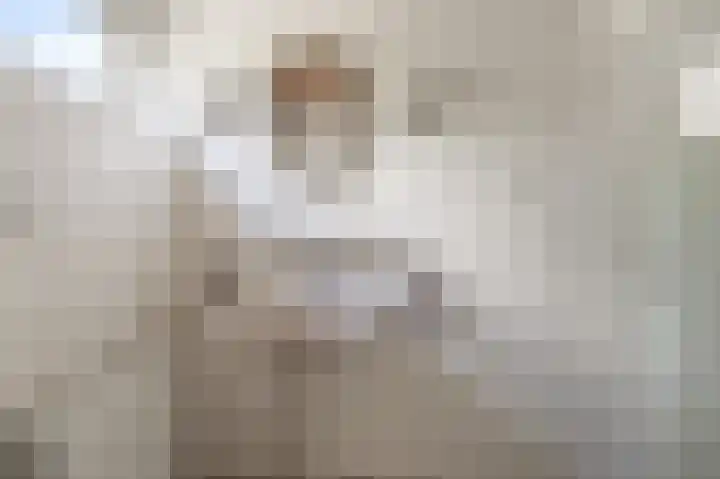 4e Heidestraat 8 Assendelft thumbnail 32