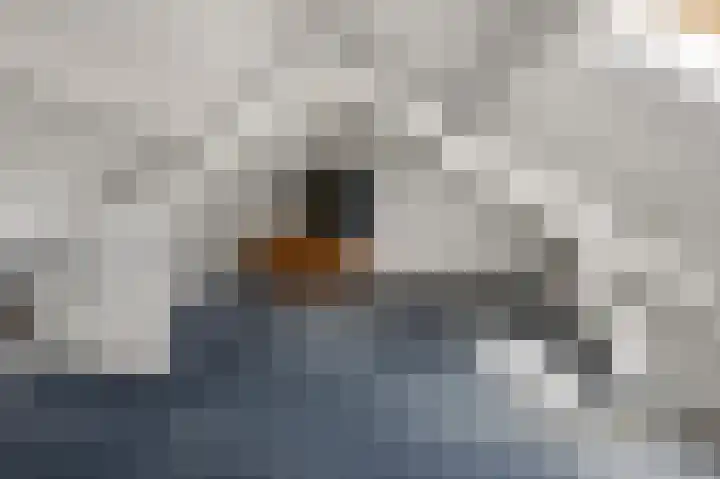 4e Heidestraat 8 Assendelft thumbnail 37