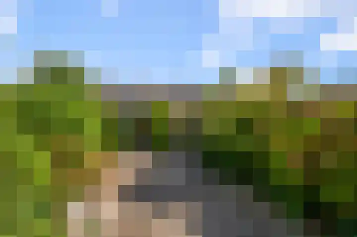 4e Heidestraat 8 Assendelft thumbnail 4