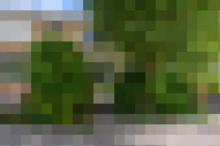 4e Heidestraat 8 Assendelft thumbnail 5