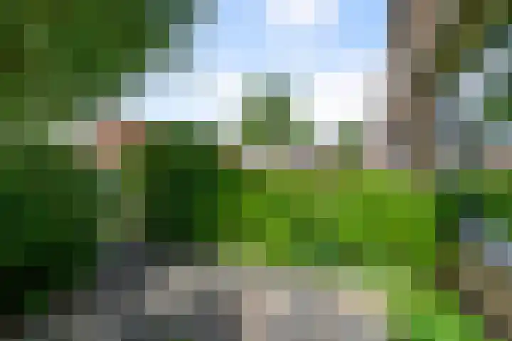 4e Heidestraat 8 Assendelft thumbnail 6