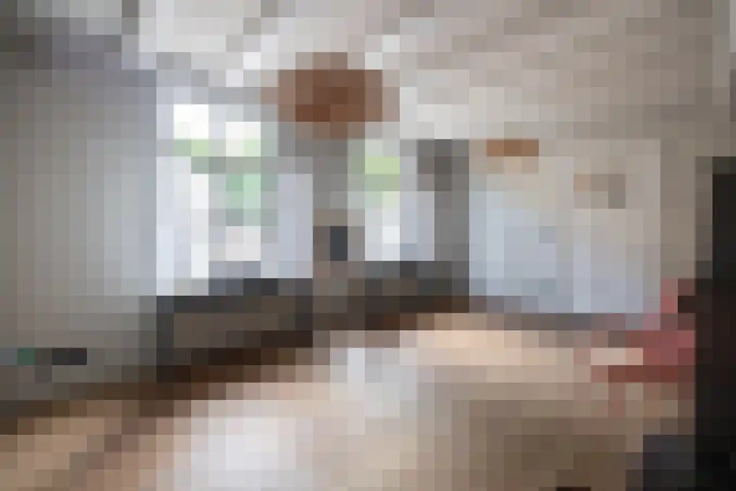5 Mei plein 12 Wageningen thumbnail 14