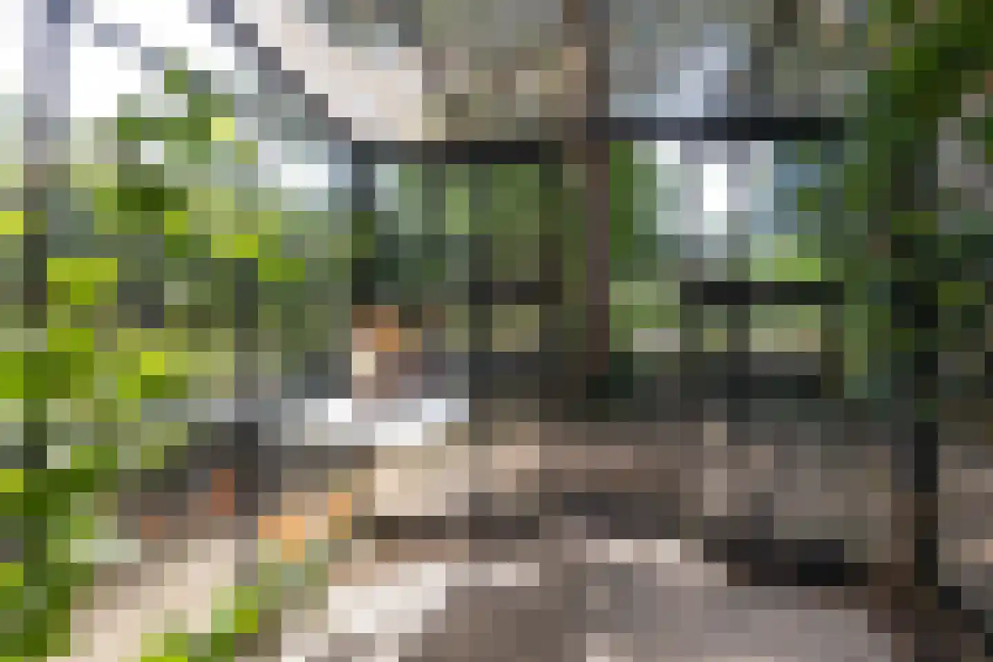 5 Mei plein 12 Wageningen thumbnail 25