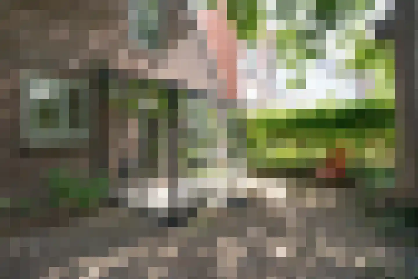 5 Mei plein 12 Wageningen thumbnail 26