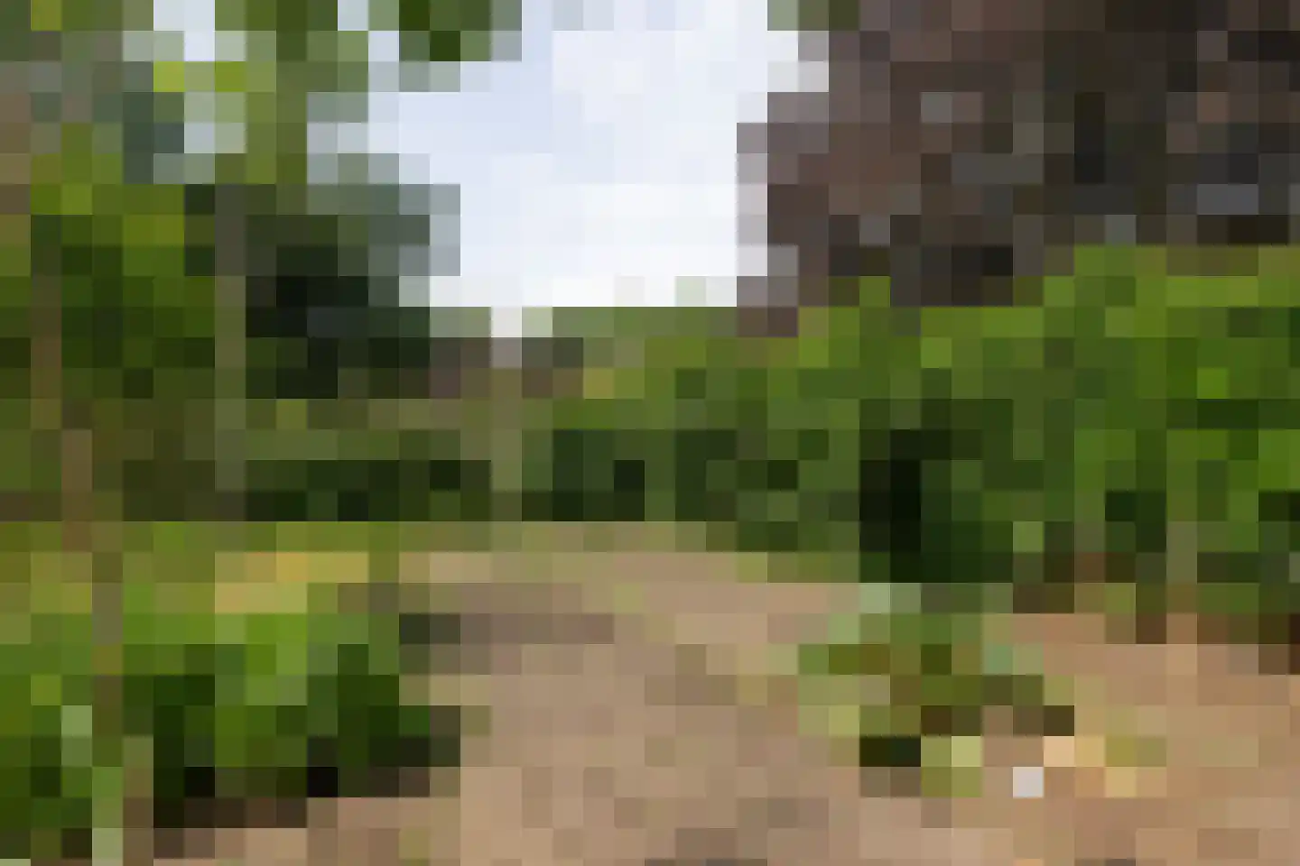 5 Mei plein 12 Wageningen thumbnail 27
