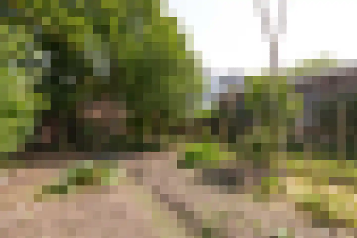 5 Mei plein 12 Wageningen thumbnail 28