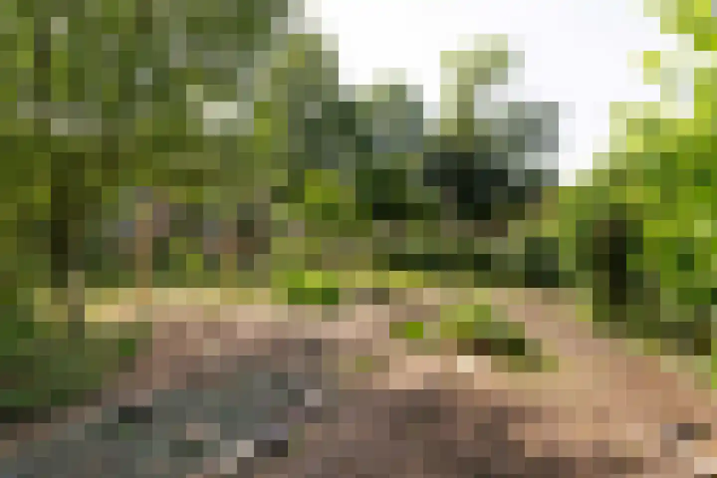 5 Mei plein 12 Wageningen thumbnail 29