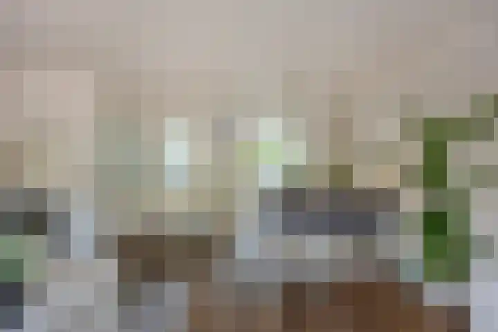 5 Mei-Straat 15 Zoetermeer thumbnail 11