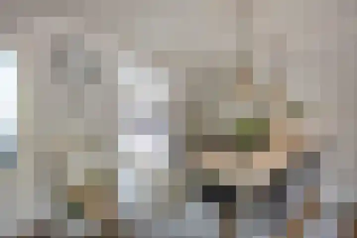 5 Mei-Straat 15 Zoetermeer thumbnail 12