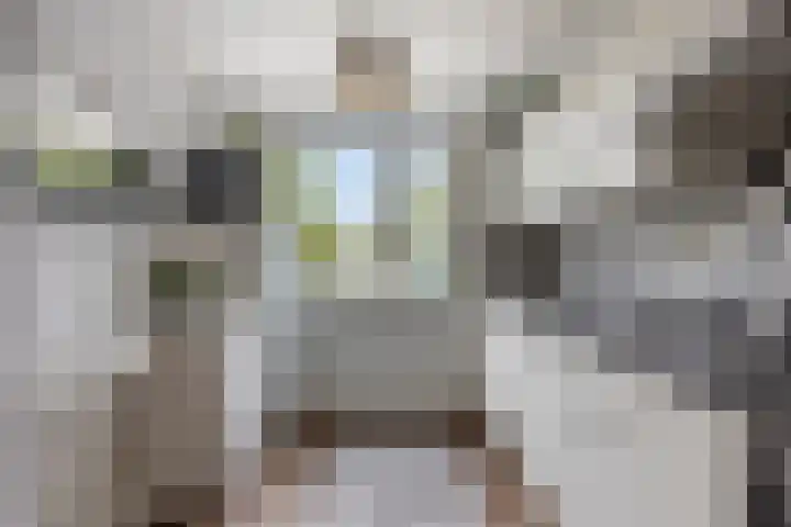 5 Mei-Straat 15 Zoetermeer thumbnail 14