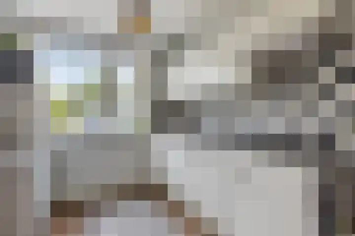 5 Mei-Straat 15 Zoetermeer thumbnail 16