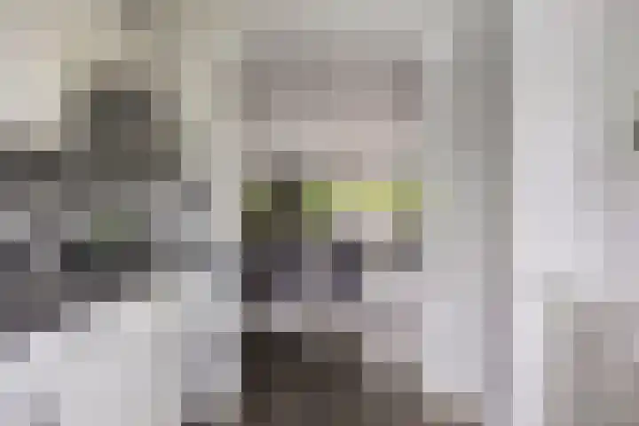 5 Mei-Straat 15 Zoetermeer thumbnail 17