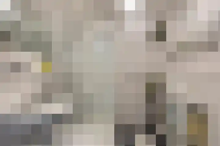 5 Mei-Straat 15 Zoetermeer thumbnail 23