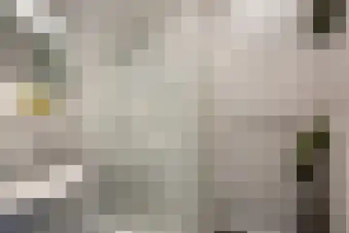 5 Mei-Straat 15 Zoetermeer thumbnail 24