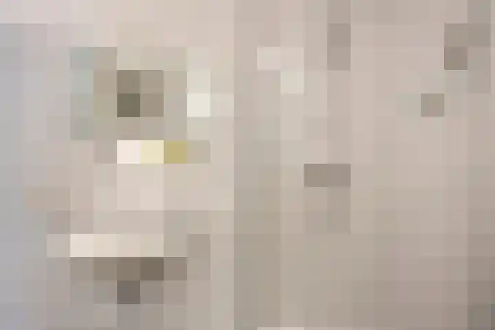 5 Mei-Straat 15 Zoetermeer thumbnail 25