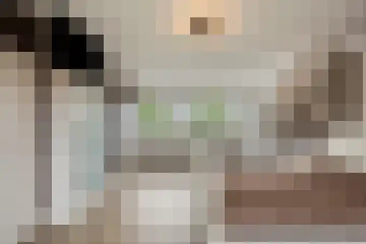 5 Mei-Straat 15 Zoetermeer thumbnail 33